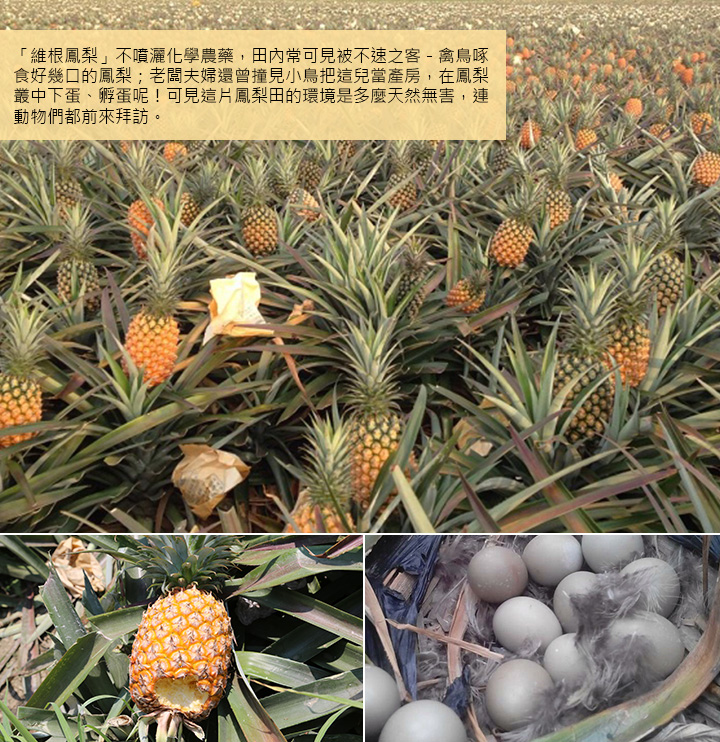 色狼深夜强奸室友女友 对方误认是男友未反抗“kaiyun开云网页版”(图4) kaiyun开云网页版