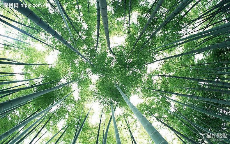 kaiyun开云网页版|睡前吃什么好?睡前不能吃的6种食物(图2) kaiyun开云官方在线登录