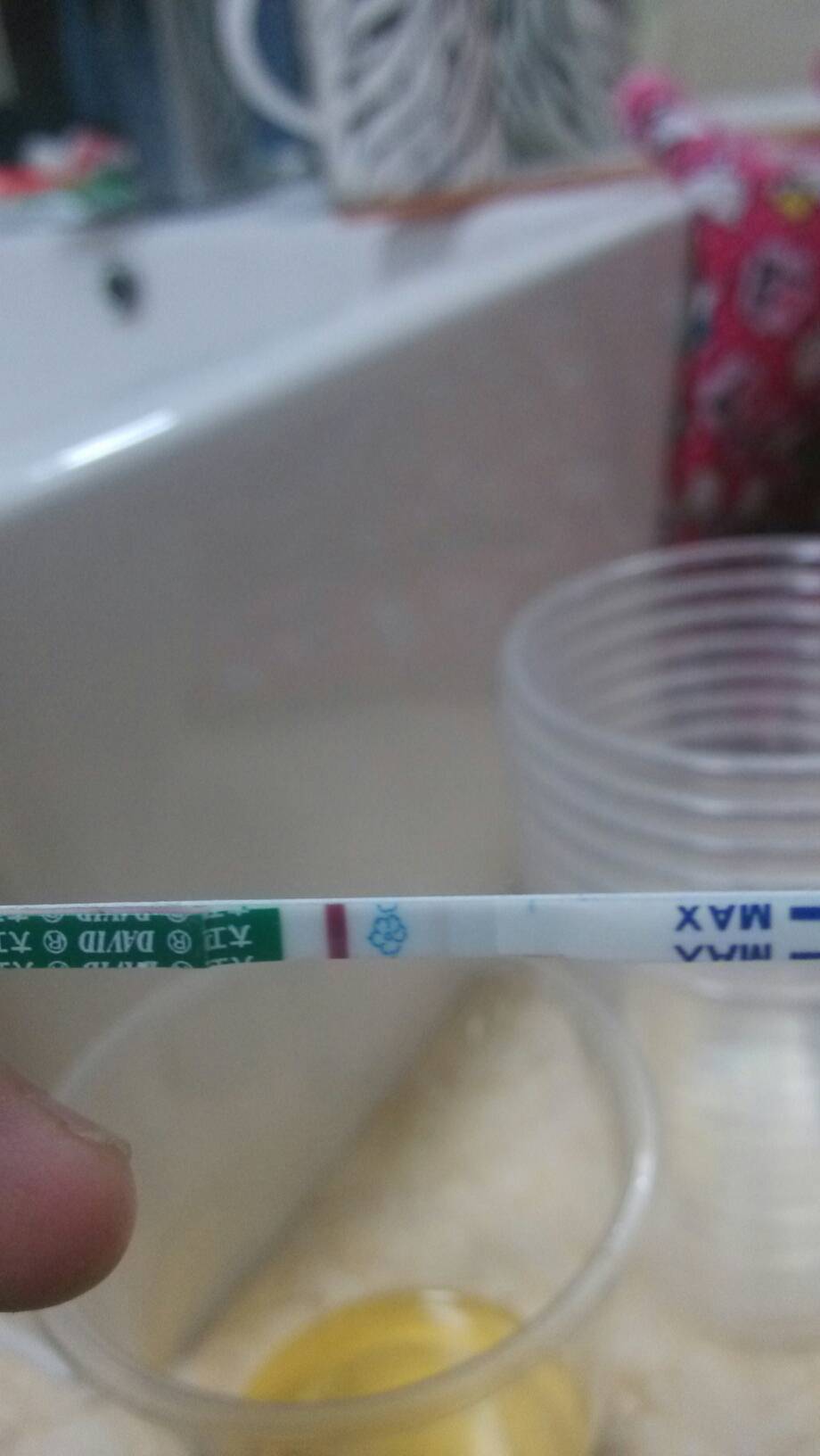 金钱草的种植方法和技巧|kaiyun开云官方在线登录