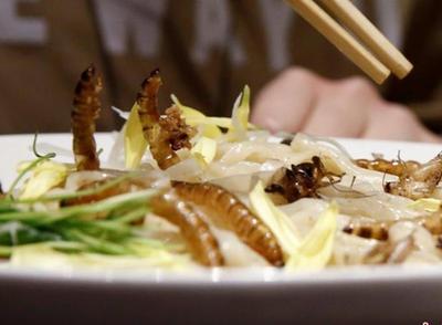 常熟口岸2015年进口木材超300万立方米:kaiyun开云官方在线登录