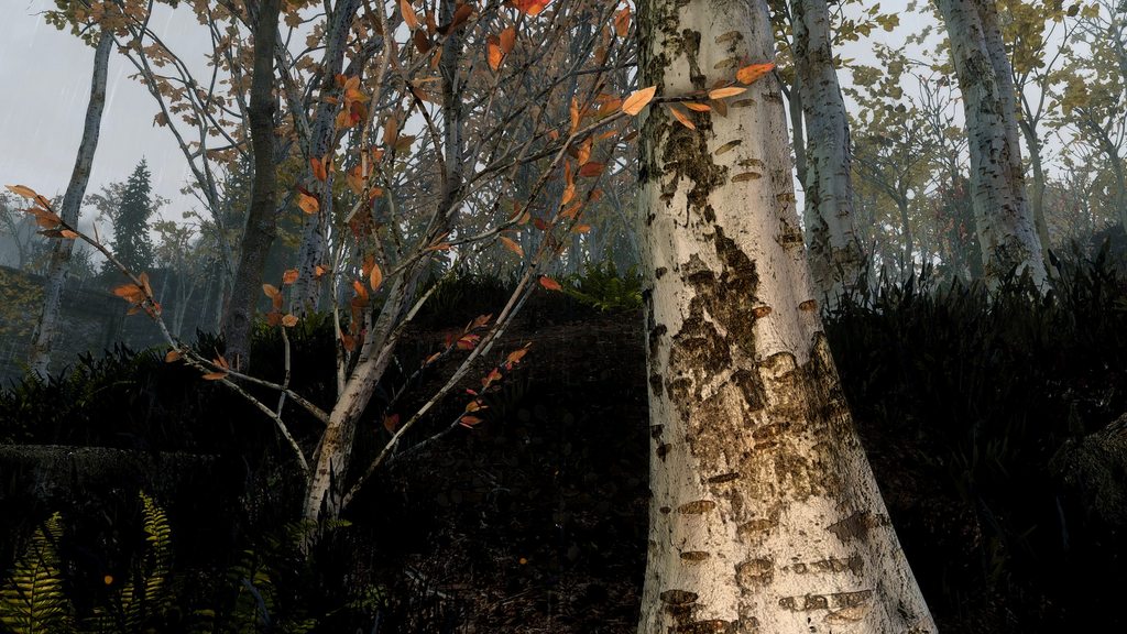 浦东科投对锐迪科公司5月8日公告的回应“kaiyun开云网页版”(图2) kaiyun开云官方在线登录