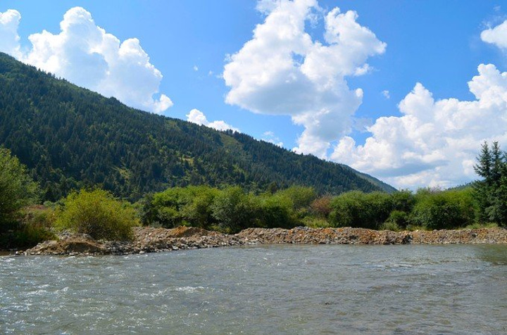 kaiyun开云官方在线登录：赛萝芷软胶囊 延缓衰老