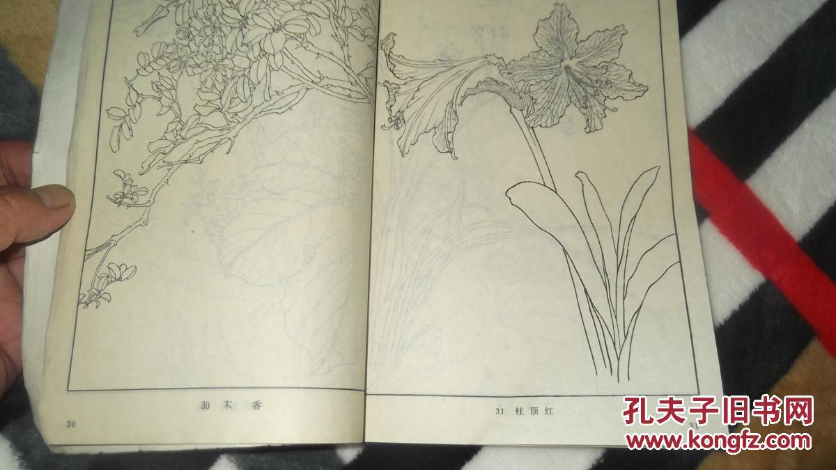 kaiyun网页登录入口|广西如何做好“东融”大文章——粤港澳大湾区专家学者有话说