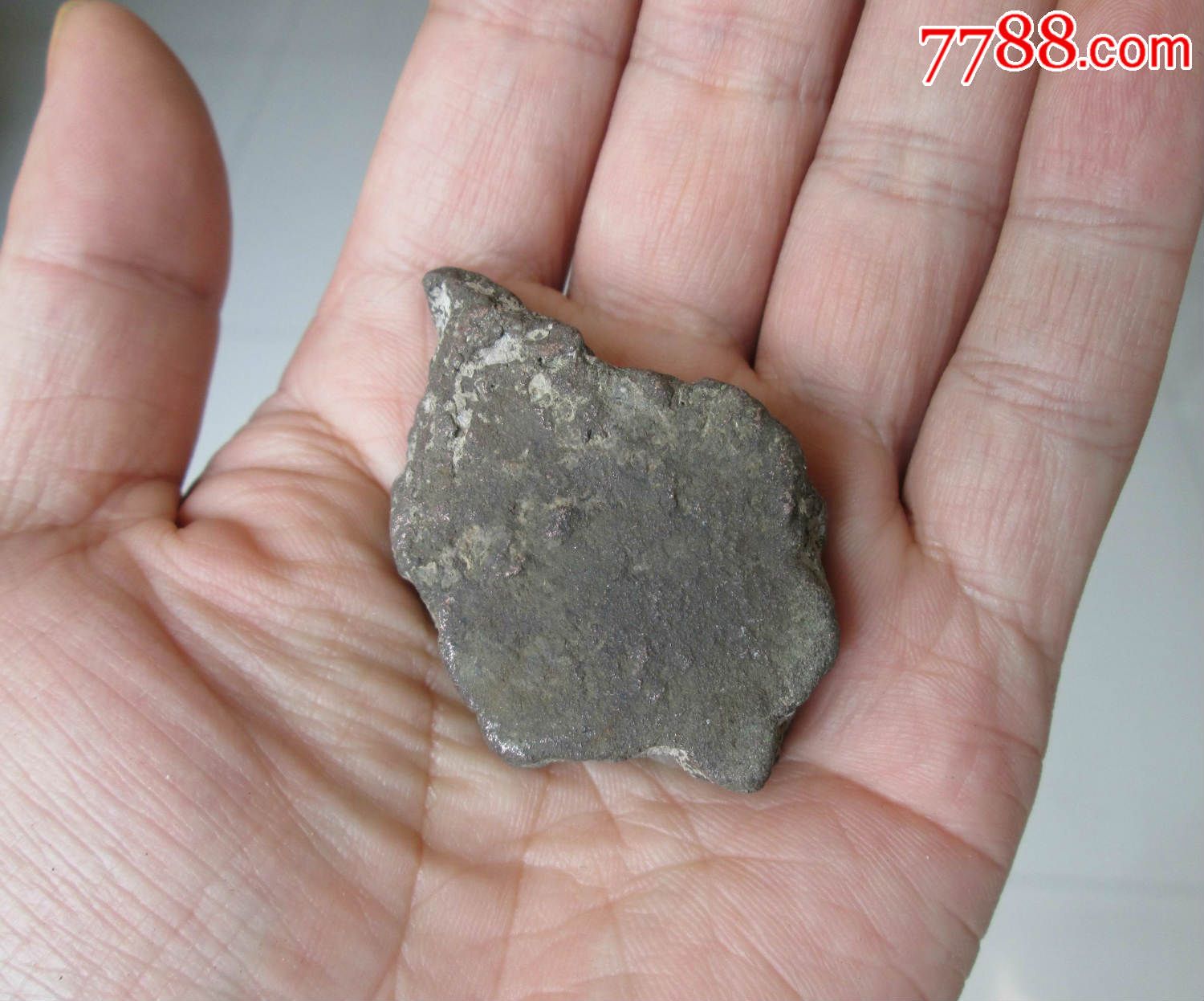 kaiyun开云网页版:顺德木业商会:橡胶木市场畸形 不变革无以复兴