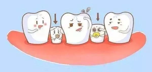 印度安得拉邦实行紫檀种植计划【kaiyun开云网页版】