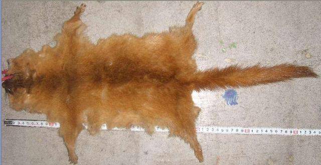 ‘kaiyun开云网页版’事业单元革新后人为上调,编外职工有份吗,能不能享受同工同酬?(图3) kaiyun开云网页版