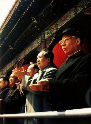 蜂胶 预防各种疾病“kaiyun开云网页版”(图4) kaiyun网页登录入口