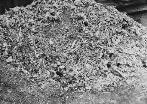 “kaiyun开云网页版”中国较权威的小儿推拿按摩品牌排行榜公布(图3) kaiyun开云官方在线登录