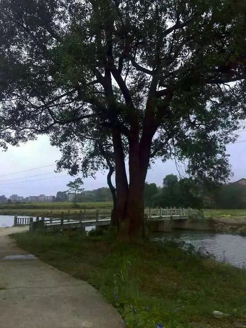 【kaiyun开云官方在线登录】研究发现:每天坚持15个俯卧撑保住性能力