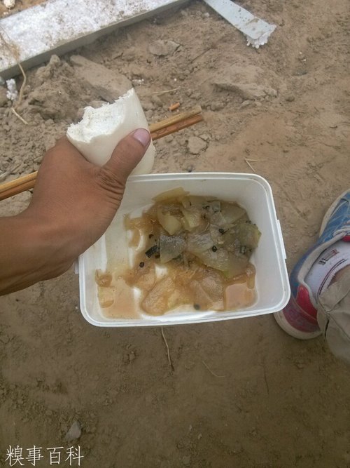 吃枸杞能够提高性功能吗？_kaiyun开云网页版