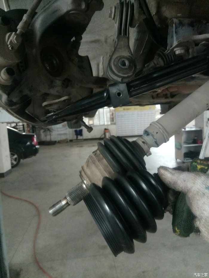 kaiyun网页登录入口-缅甸木业公司宣布将木材供应量设置上限