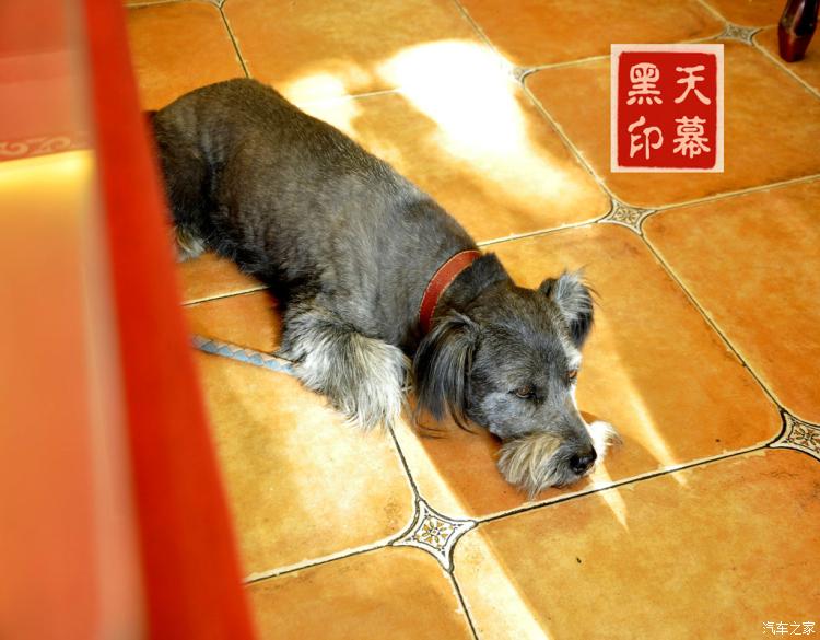 kaiyun开云网页版_老挝卡斯拉缺货 新材年后入市(图4) kaiyun网页登录入口