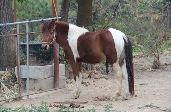 ‘kaiyun开云官方在线登录’陆忠喜一行走访台资企业