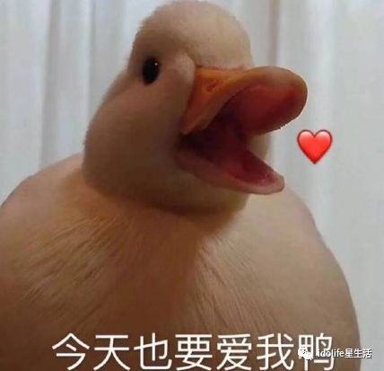 浙江工商查扣鱼翅560余公斤【kaiyun开云官方在线登录】