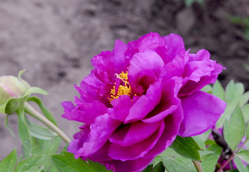 【kaiyun开云官方在线登录】钟山法院在春节前夕走访慰问退休干警、在职困难干警