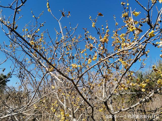 kaiyun开云网页版