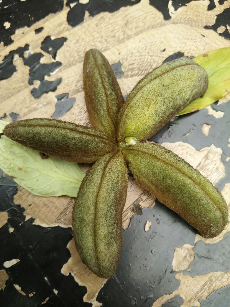 kaiyun开云网页版：县就业局到就业扶贫车间调研复产复工及疫情防控工作