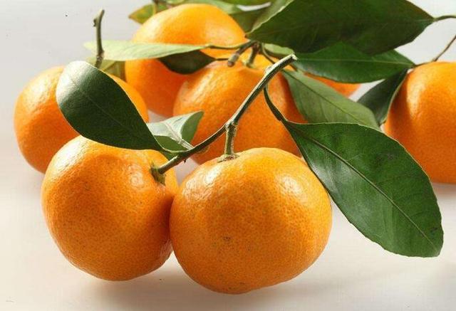 kaiyun开云官方在线登录：钟山县职校多渠道提升教师专业技能