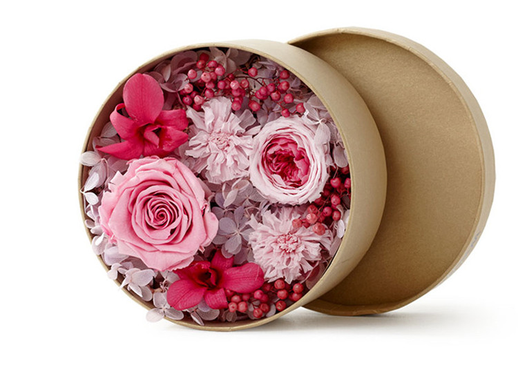 缓解视疲劳高档礼盒半年装 维护视力健康：kaiyun开云网页版