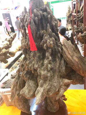 kaiyun网页登录入口