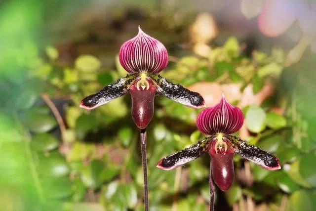 kaiyun开云官方在线登录_广西水资源监控能力二期项目在线监控站点安装工作全面完成