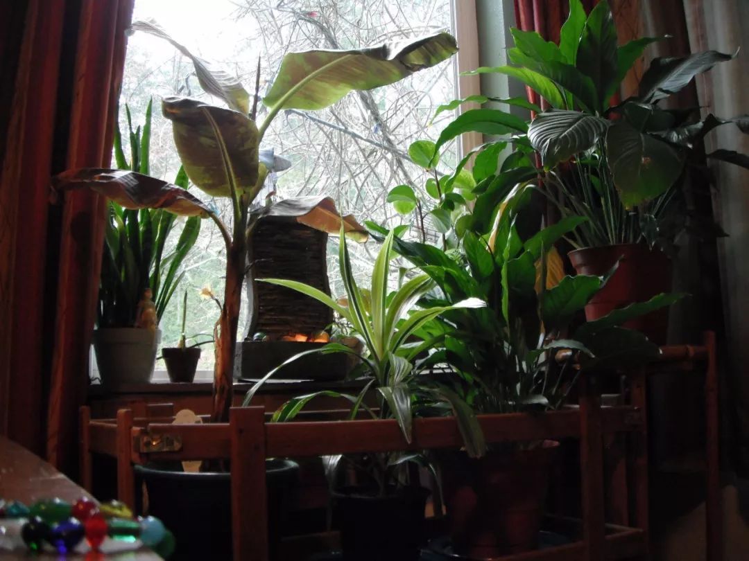 【kaiyun开云网页版】俄