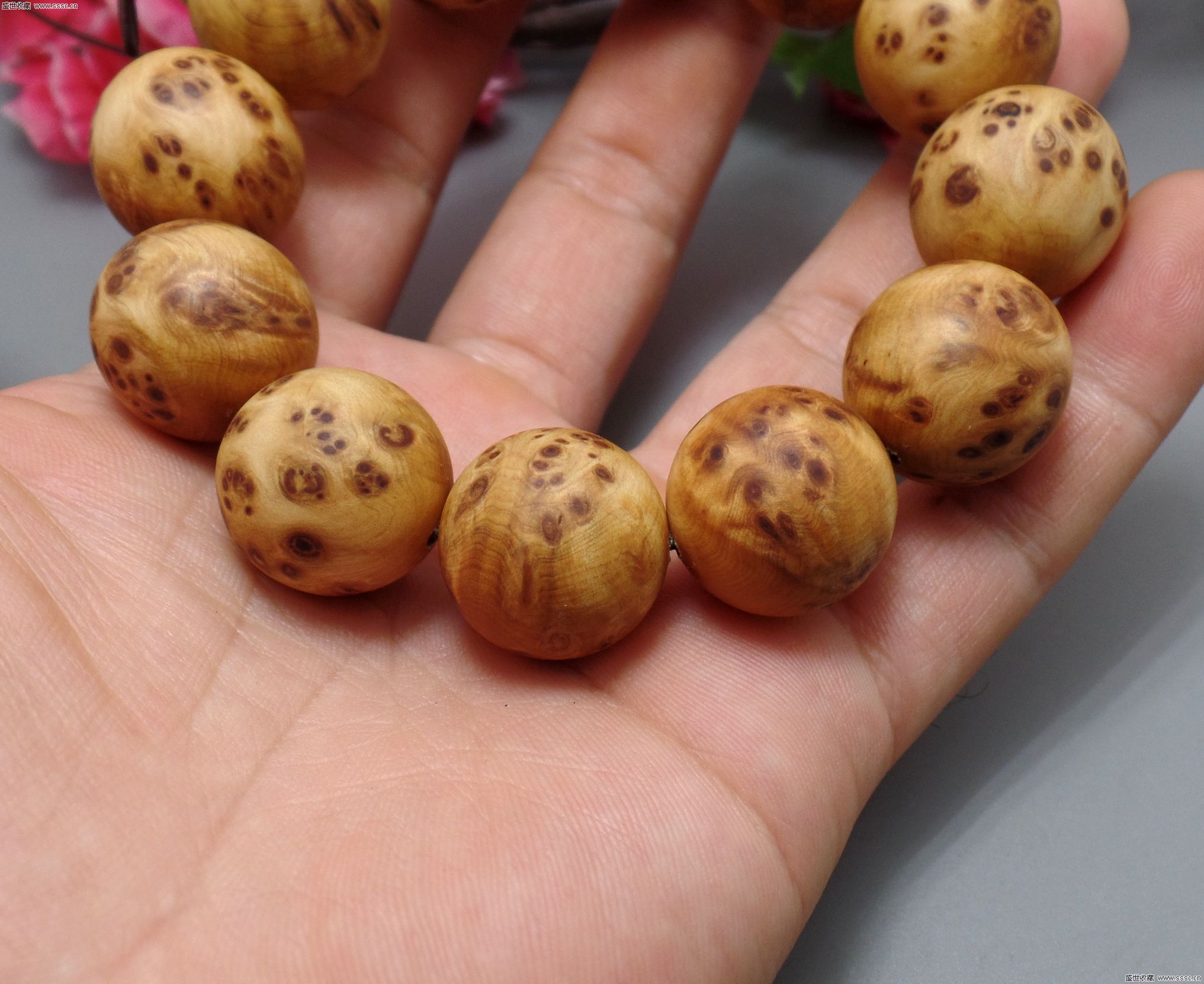 铁木豆销量有所下滑 价格依然坚挺-kaiyun网页登录入口