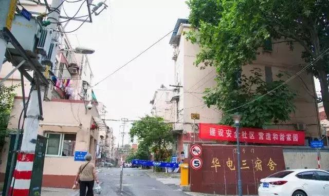 缅花价格环环循进：缅花遇到好时机_kaiyun开云官方在线登录