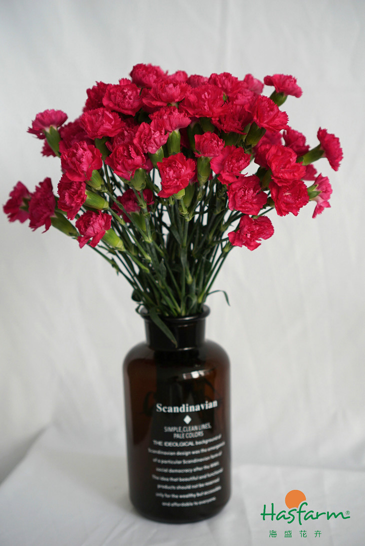 柚木市场冷清 非洲酸枝走货相对顺畅‘kaiyun网页登录入口’