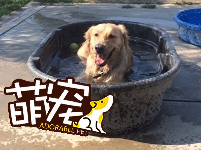 长期熬夜可致身体免疫失调 水果药膳不管用【kaiyun开云网页版】