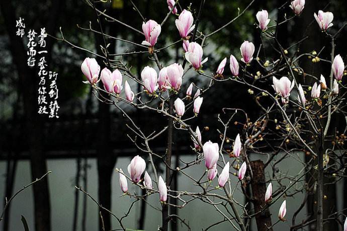 蜂蜜是老年人的绝好“牛奶”-kaiyun开云官方在线登录