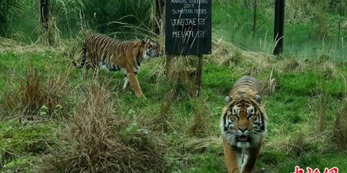 kaiyun网页登录入口