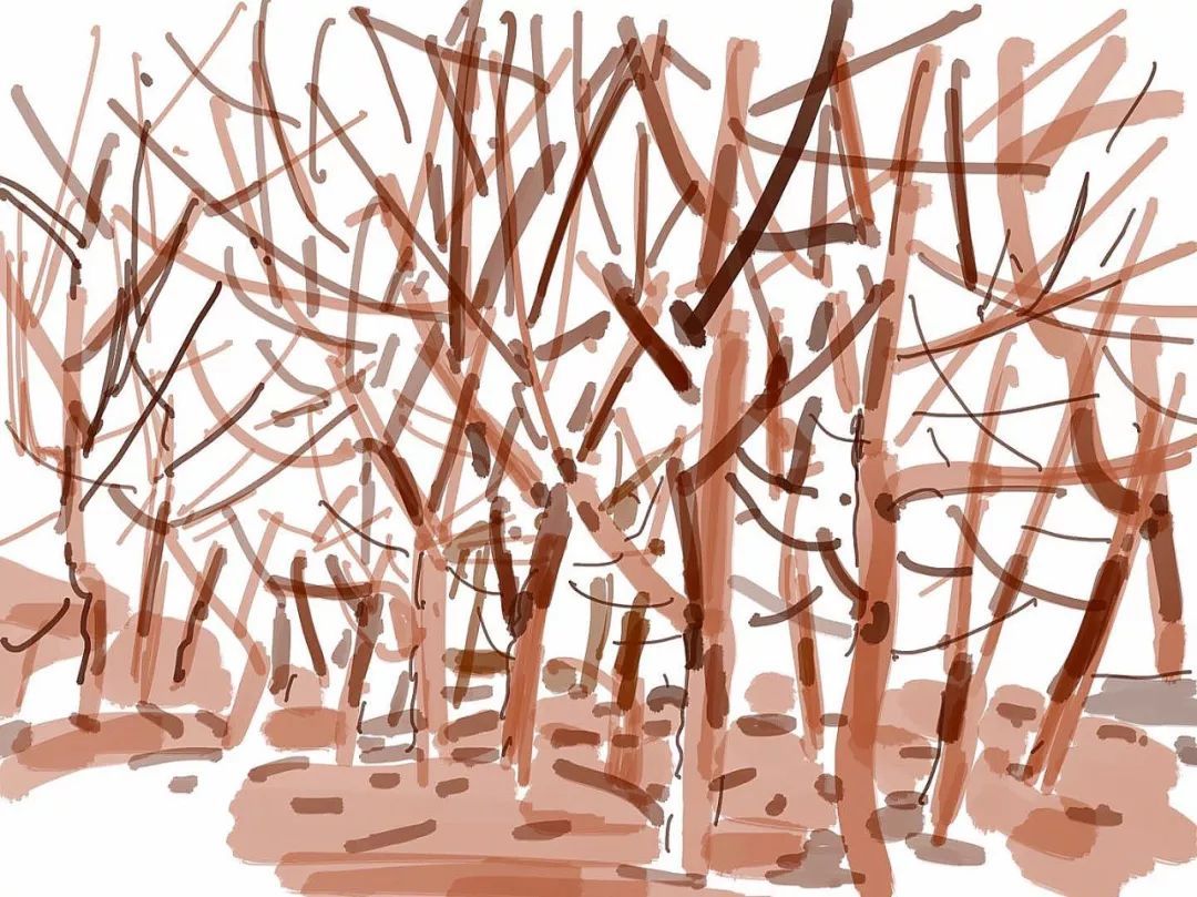 kaiyun开云网页版