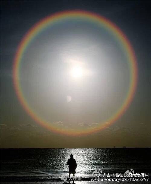 山东岚山口岸木材进境通关再提速‘kaiyun开云网页版’(图3) kaiyun开云网页版