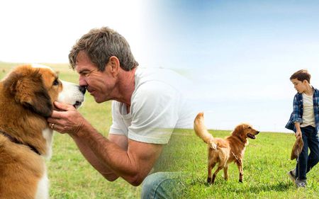 kaiyun开云网页版