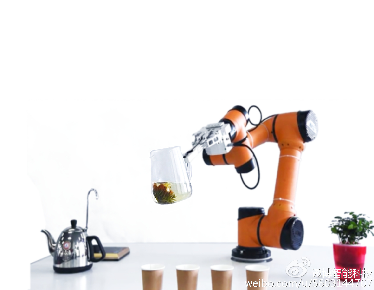 kaiyun开云网页版_钟政发〔2019〕6号   钟山县人民政府关于收储县陶瓷厂部分国有土地使用权的决定