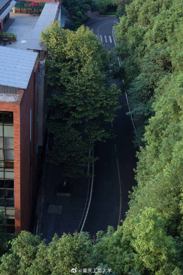 乌鸡白凤丸有哪些成分，作用是什么？：kaiyun网页登录入口