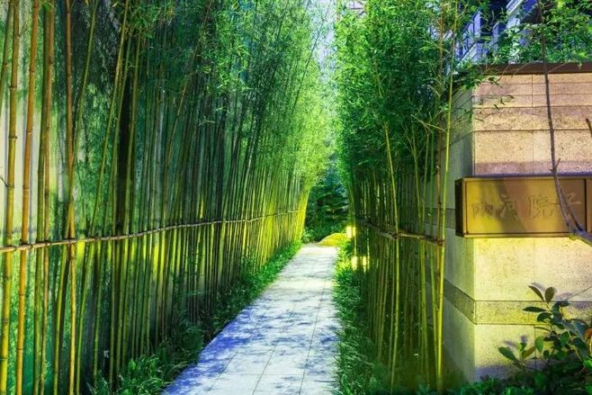 kaiyun开云网页版