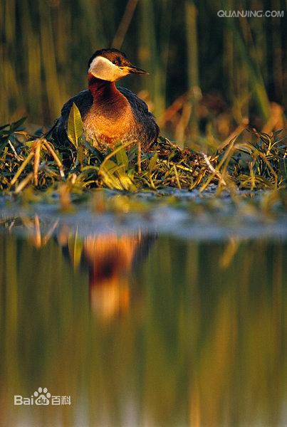 kaiyun开云官方在线登录