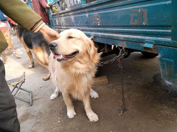 【kaiyun开云网页版】中国地板:行业受季节性影响 营利侧重下半年(图4) kaiyun开云官方在线登录