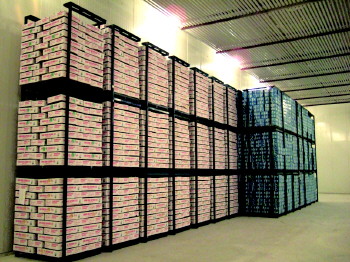 “kaiyun网页登录入口”石龙镇征兵工作推进会召开